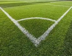 哈兰德点燃,世界杯烽火,挪威奇迹般,球友会,球友会官方,球友会官网,球友会入口,球友会登录