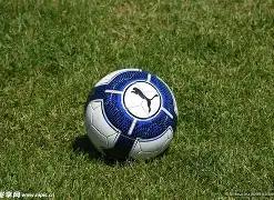 曼联猎将新,篇章,恩里克领衔,球友会,球友会官方,球友会官网,球友会入口,球友会登录