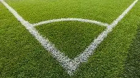 哈兰德点燃世界杯烽火！挪威奇迹般大胜意大利，28年后重返荣耀之巅！